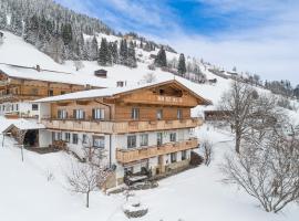 Anderla 2, ski resort in Wildschönau