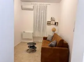 Appartement T1 intra-muros