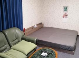 Minpaku Yamamoto - Vacation STAY 13870, hotel with parking in Izumiotsu