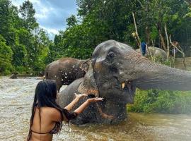 wild park safari home stay, homestay di Udawalawe