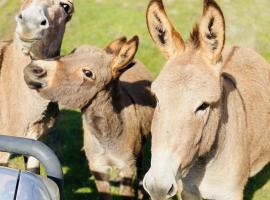 Sandalwood Downs Fabulous Farm Stay TOODYAY, hotel in Toodyay