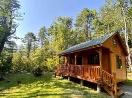 Zen of the Woods Tiny Cabin in Okemo Valley, počitniška hiška v mestu Chester
