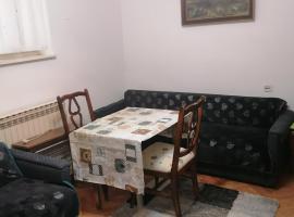 Trojan i Slobodanka, apartment in Ribarska Banja