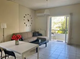 Nav Apart, Salamina