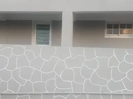 Abricotier à proximité des plages du sud