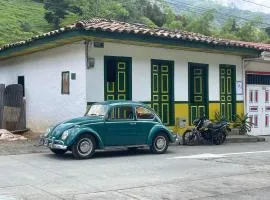 BOSQUE DE NIEBLA