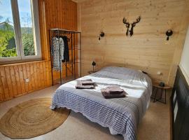 Appartement Chaleureux Gérardmer proche forêt, hôtel à Gérardmer