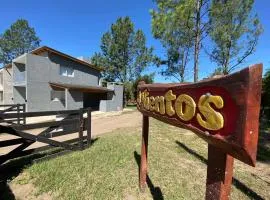 cuatro vientos 1