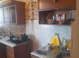 Keshish guests house, apartment in Vanadzor