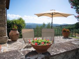 Agriturismo Fattoio alle Ripe、Pelagoのファームステイ