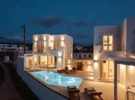 Naxos Superior Villas