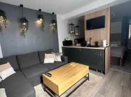 Luxury Studio, luxury hotel in Iaşi