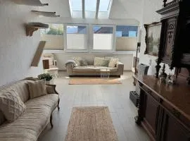 Spacy 3 Bedroom plus Sleeping couch Apartment Work&Travel close to Heidelberg