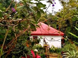 The Jungle Life Homestay Thangamalay Sanctuary Haputale by Gisela Sivam, budgethotel i Haputale