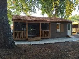 Chalet 2 Chambres à Labouheyre avec Piscine Chauffée, WiFi et Terrasse au Bord d'un Lac - FR-1-783-25