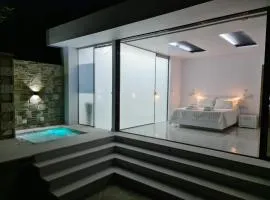 One Bedroom Pool House by Olivujoj