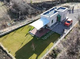 The house in the nature