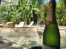 La petite Niçoise au Jacuzzi à 3 min de la mer, hotel in Nice