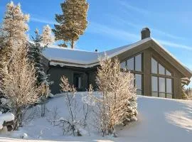 Pet Friendly Home In Gålå With Kitchen