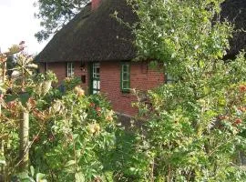 Thatched roof house Kehl