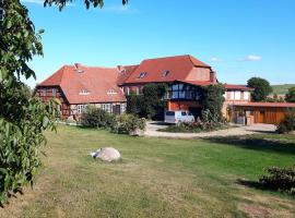 in the old manor house, pet-friendly hotel in Hinrichshagen