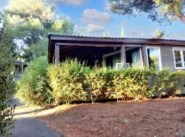 Bungalow paisible à Agde avec piscine partagée