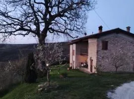 B&B del Fernè