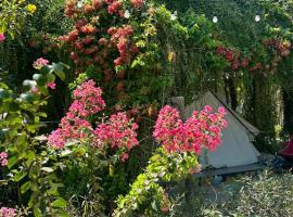 Suối Đá F-Glamping, glamping site in Ấp Long Lâm