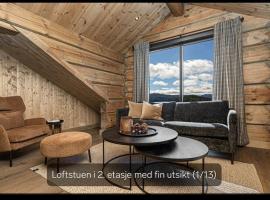 Flott moderne hytte i Holterdalen, 4 soverom, 2 bad, Jacuzzi, garasje – domek wiejski w mieście Rauland