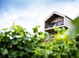 Ferienhaus Am Grassnitzberg, spa hotel in Spielfeld