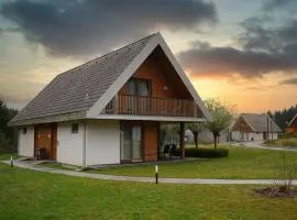Apartma Pikabooth Terme Topolšica