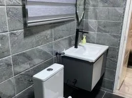 Cosy Apartment - East Legon - Adjiringanor