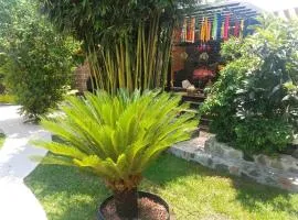 Casa orquídea