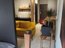 Design Vistula old town apartment private underground parking