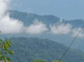 RASA- DIVINE (Rishikesh)