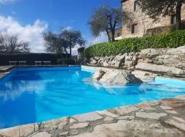 Borgo Livernano - Farmhouse with pool