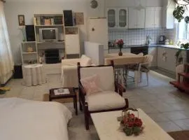 Gaby's House