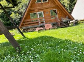 Cabanutze Satic, cheap hotel in Rucăr