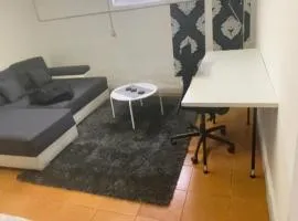Downstairs Apartment With Garden