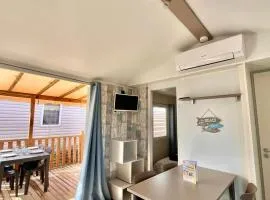 Mobil Home Abricotiers 1
