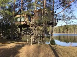 Treehouse Čiekurs