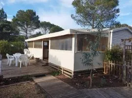 Mobil home à louer dans camping des cigales le muy 5 étoiles