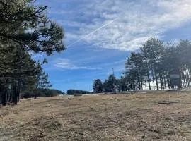 Vila Miris borova Zlatibor Centar