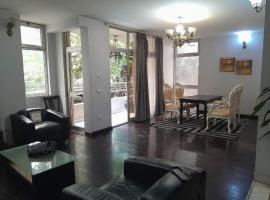 A Furnished Apartment at the heart of Addis Ababa, Ethiopia, apartement sihtkohas Addis Abeba