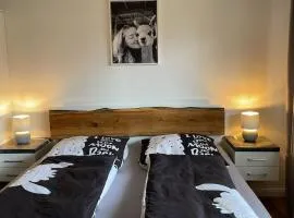 Alpakablick Bad Zwischenahn