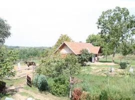 Farmica, Bed&Breakfast, Bazen izdvojen nekoliko minuta hoda