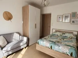 Chambre indépendante avec terrasse et jardin privatif