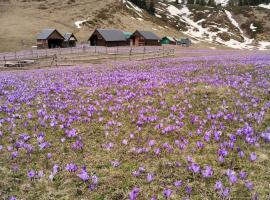 Katun Siska Medna Dolina, khách sạn ở Berane