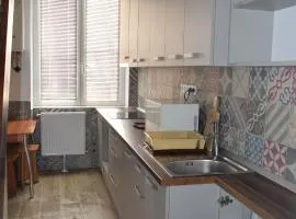 Apartament Nicolae Iorga RHBM