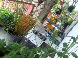 Chambre avec cuisine et SDB semi-privatives separées dans un ecrin de verdure